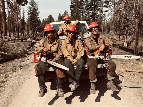 Grayback Forestry
