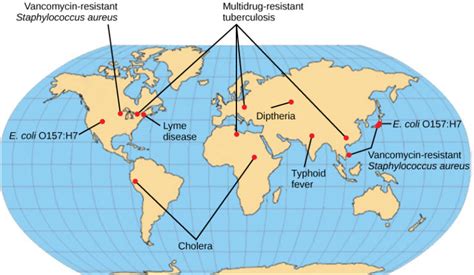 bacterial diseases  humans biology  majors ii
