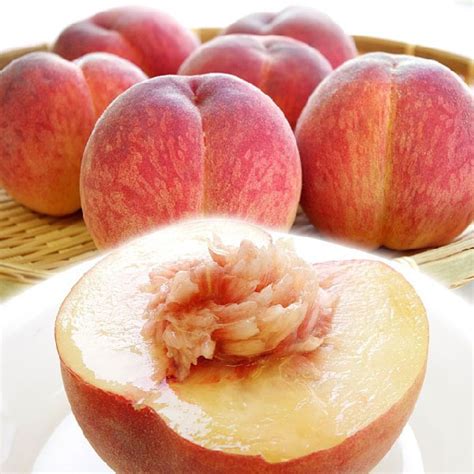 Japanese Asama White Peach (Jumbo) — MomoBud