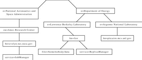 directory information tree  scientific diagram