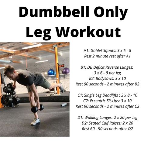 Best Home Dumbbell Leg Workout at Faith Fussell blog