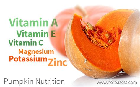 Pumpkin Nutrition | HerbaZest