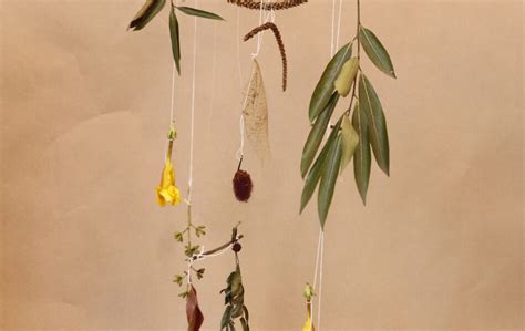 Mobiles Com Elementos Da Natureza - Folhario: oficina de construção de móbiles com elementos da natureza ...