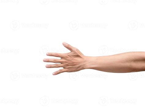 skin  man hand isolatedmale arm white background  stock