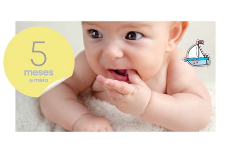 O desenvolvimento do bebê de 5 meses e meio | Bebe.com.br