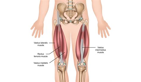 Acupuncture for Vastus Lateralis Pain | ACA Acupuncture and Wellness