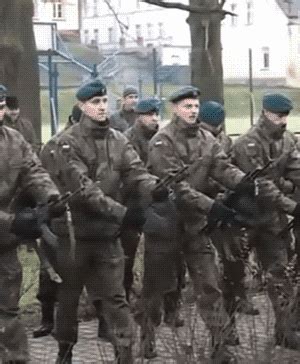 Friendly Fire | Funny gif, Best funny pictures, Funny