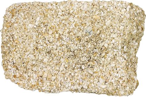 Coquina - The Rock that Saved St Augustine - Castillo de San Marcos ...
