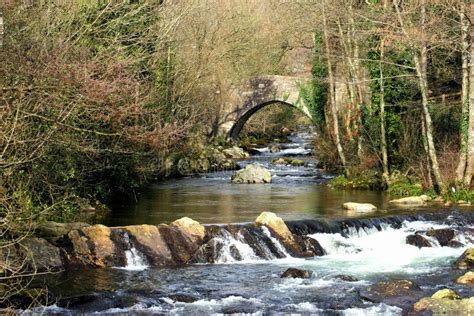 The Ivybridge stock photo. Image of torrent, trunks, bridge - 2088910