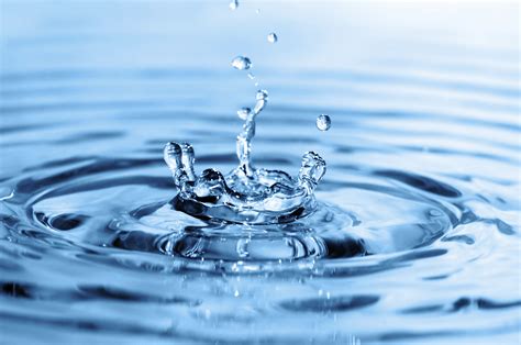 World Water Day: The Islamic Perspective