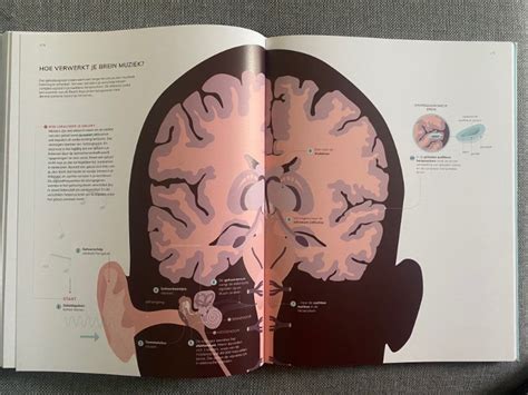 atlas van ons brein wieringa janse stoerleesvoer