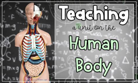 Teaching a Unit on the Human Body Systems - Teaching Muse