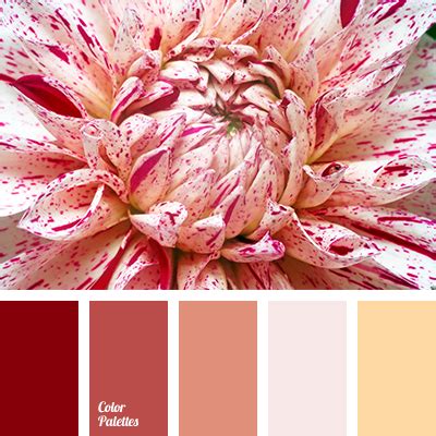 shades of peach | Color Palette Ideas