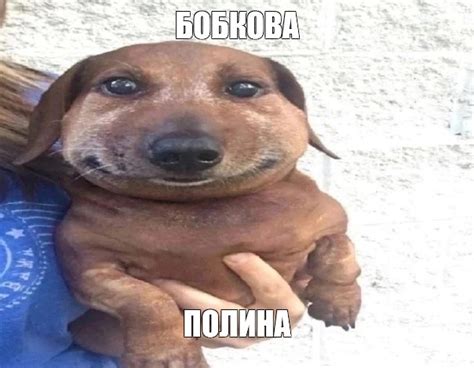 Meme: "БОБКОВА ПОЛИНА" - All Templates - Meme-arsenal.com