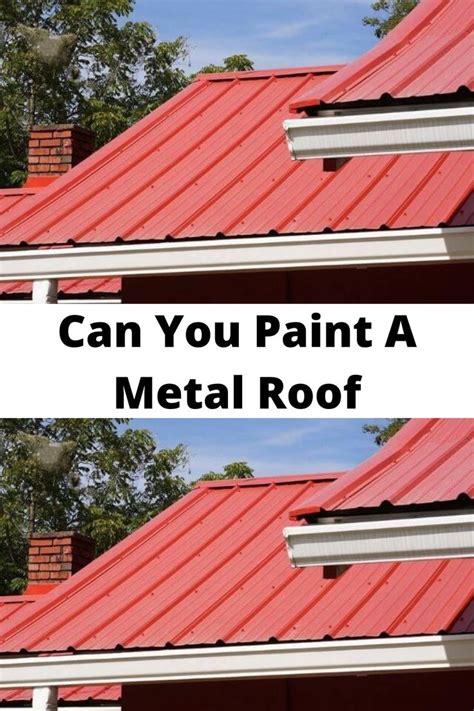 Can You Paint A Roof Yourself – Architectural Design Ideas