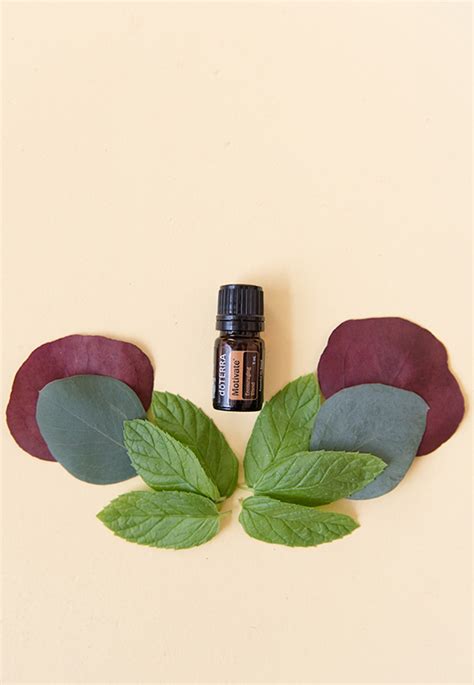 doTERRA Motivate Encouraging Blend | dōTERRA Essential Oils