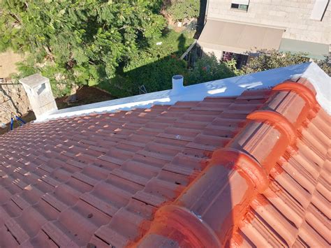 בניית גגות רעפים - בניית גג רעפים - דודי את דודי