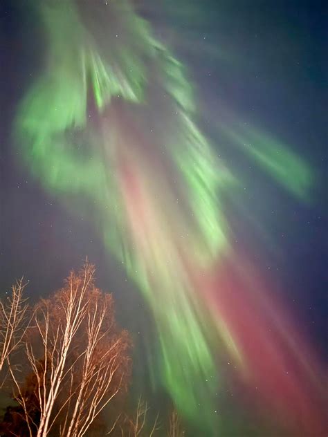 2025 Alaska Aurora Borealis... - Daniel's Discovery Tours | Facebook