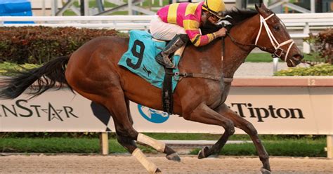 Aqueduct Picks: A Game Changer? - say8eb3