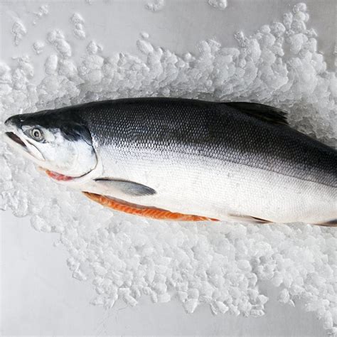 Baby Salmon Whole Piece Cold Smoked – Ocean Fresh Inc