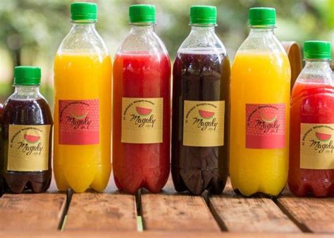 Garrafinhas Para Sucos Naturais - Sucos para vender em garrafinhas: Como fazer? | Receita | Tabela de ...