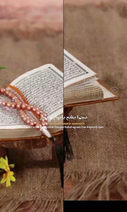 beautiful gijil  islamicstatus islamicgojol shortsgojol