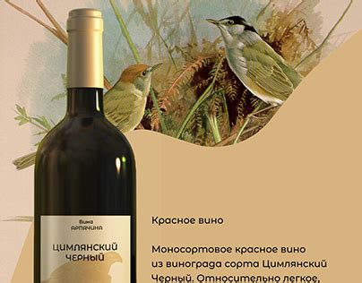 Алина Головань - Студент in Москва, Russian Federation :: Behance