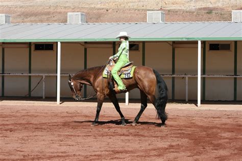 abby keele photography: quarter horse show