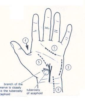 SURGSEMINAR: HAND INFECTIONS