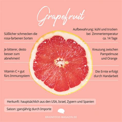 Food Fakten Grapefruit - Brain Food Magazin – lebe bewusst