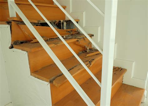 Get Reliable Expert Termite Removal Services in Corona, CA!