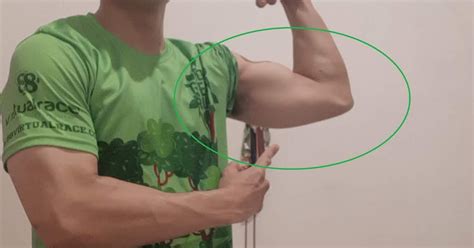 latihan superset bicep  tricep