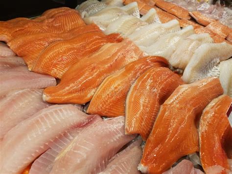 Fresh fish fillet stock photo. Image of fillet, store - 142728302