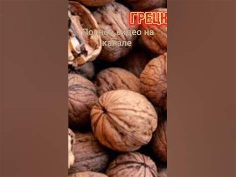 Орех ГРЕЦКИЙ ПОЛЬЗА СОСТАВ ВИТАМИНЫ #организмчеловека #греческий #орехи ...