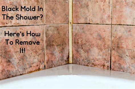 how to clean mold from shower caulking