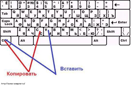 Работа с текстом при помощи клавиатуры: копировать, вставлять и вырезать