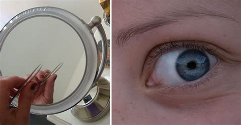 How To Grow Eyebrows And Make Them Thicker | LittleThings.com