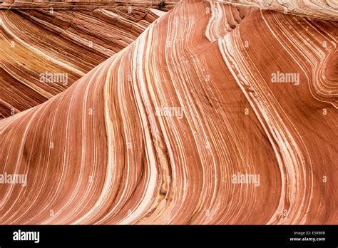wave arizona amazing flowing rock formation   rocky desert
