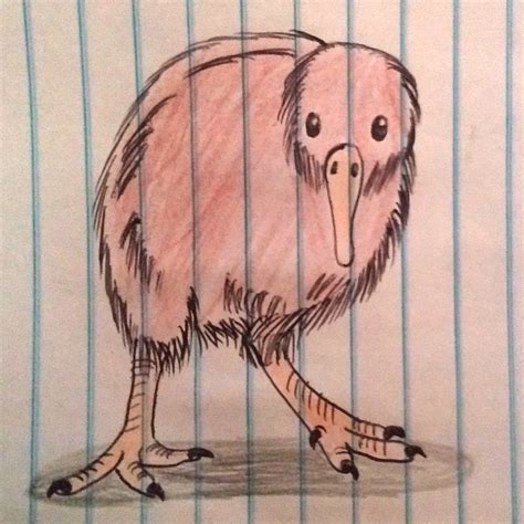 Kiwi Bird Drawing by CaueCorredor on DeviantArt