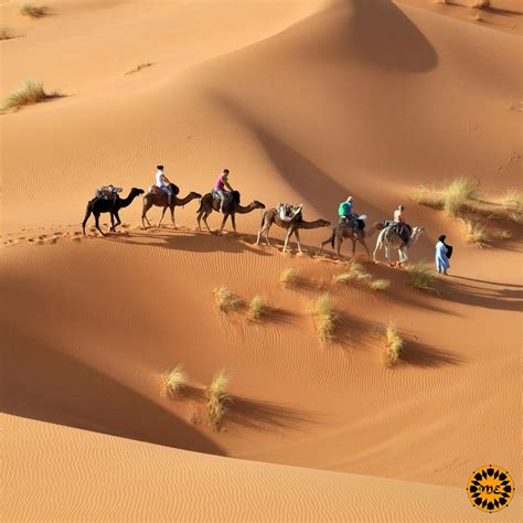 Morocco Desert Tours - Private & Shared Trip Costs