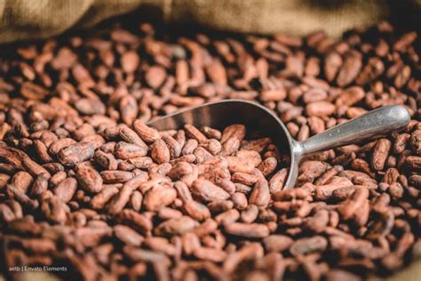 Exportaciones colombianas de cacao se duplican en 2024: Estados Unidos ...