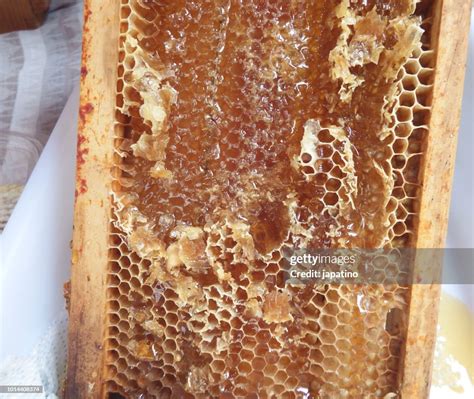 Beeswax Honeycomb High-Res Stock Photo - Getty Images