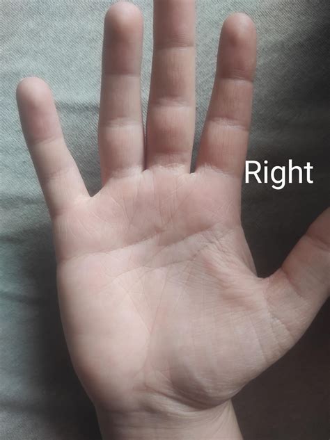 Why my hands are so diffrent? : r/palmistry