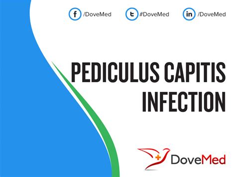 Pediculus Capitis Infection