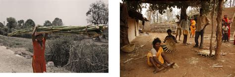 baiga  tribe  wild city