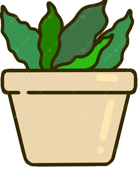It Looks Like Grass But Is A Type Of Cactus, Cactus, Plants, Plant PNG