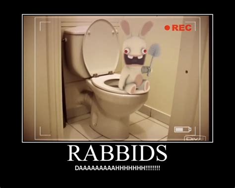 Raving Rabbids by Onikage108 on DeviantArt