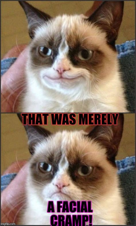 IF YOU SAY SO GRUMPY CAT! :D - Imgflip