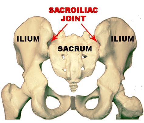 Sacroiliac Joint Disorder | 🩺Singapore Sports & Orthopaedic Surgeon