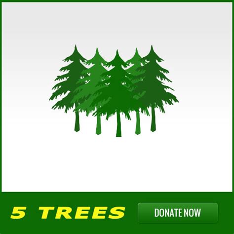 trees trees  canterbury